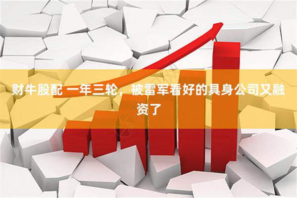 财牛股配 一年三轮，被雷军看好的具身公司又融资了